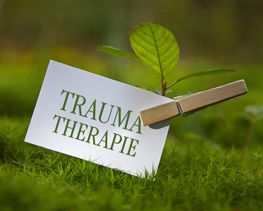 TRAUMA UND TRAUMATHERAPIE – THEMENTEIL II